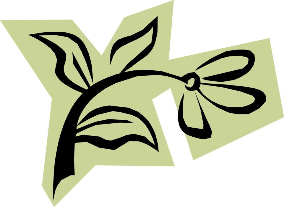 Vector Illustration of Garden Flower 
