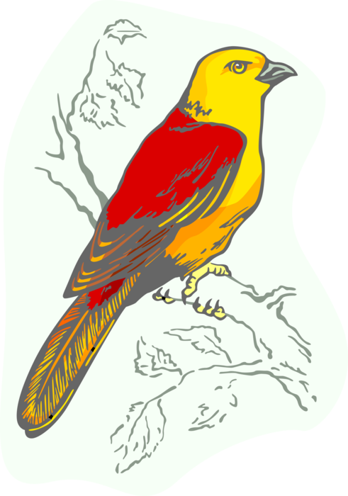 Vector Illustration of Feathered Vertebrate Yellow Bird with Red Wings