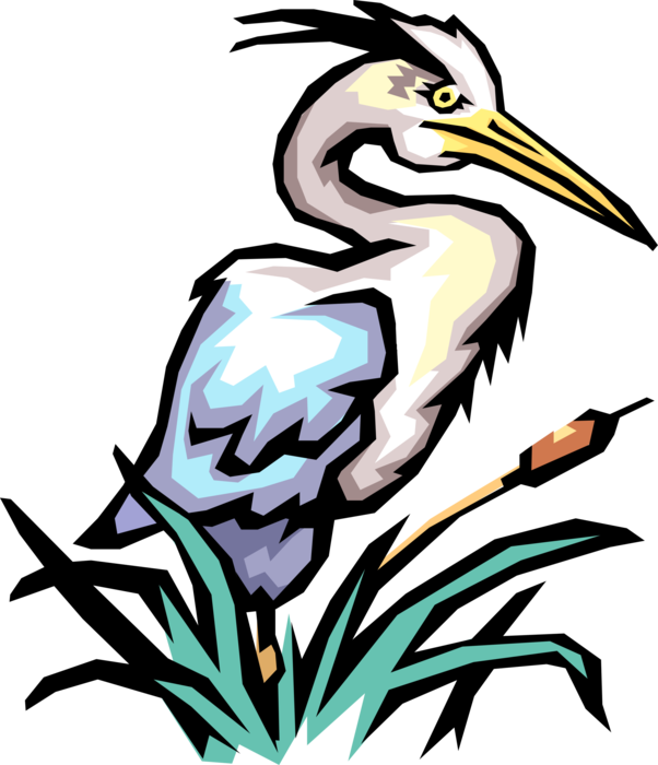 Vector Illustration of Great Blue Heron Crane Bird Fishing in Bulrushes