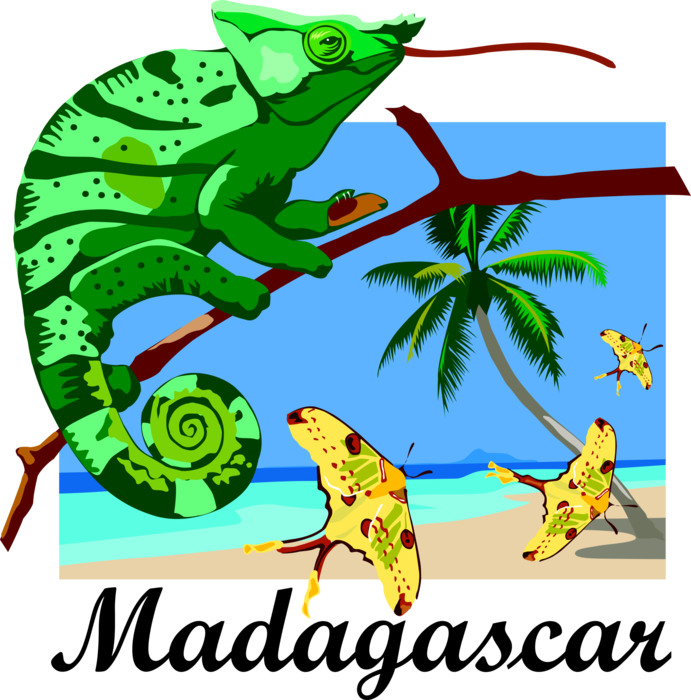 Vector Illustration of Madagascar Postcard Design with Chameleon Lizard and Madagascar Moon Moth