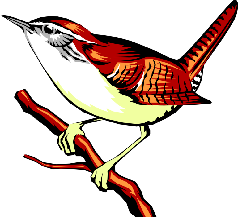 Vector Illustration of Carolina Wren, State Bird of South Carolina