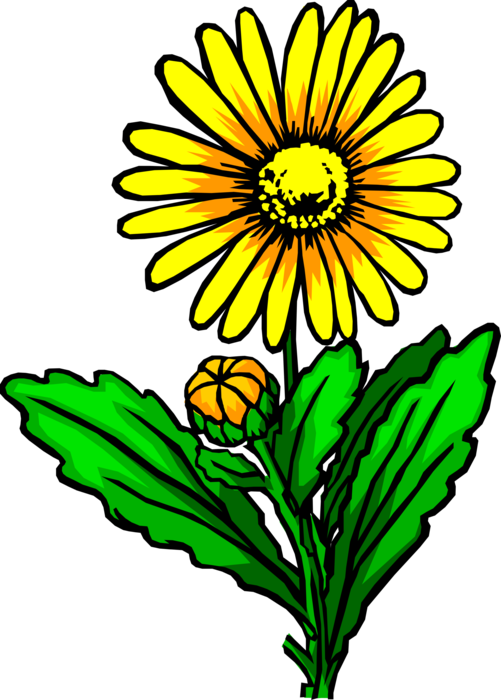 Vector Illustration of Yellow Flower