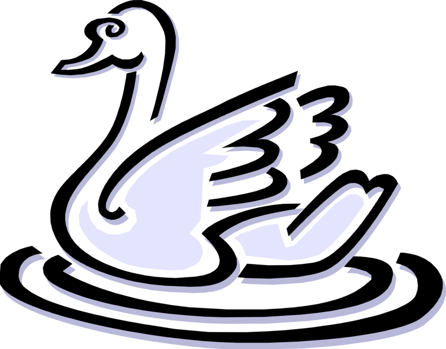 Vector Illustration of White Mute Swan Swimming