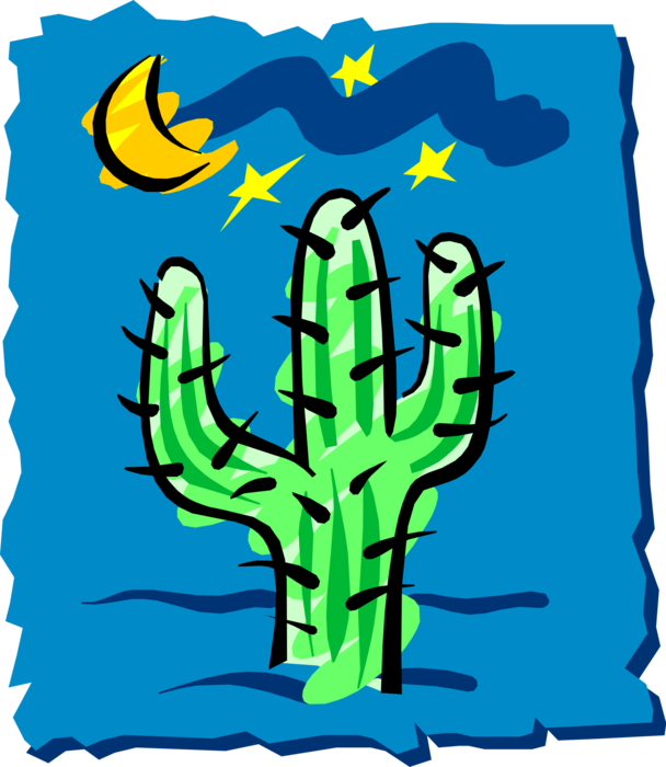 Vector Illustration of Desert Vegetation Succulent Cactus in Moonlight at Night