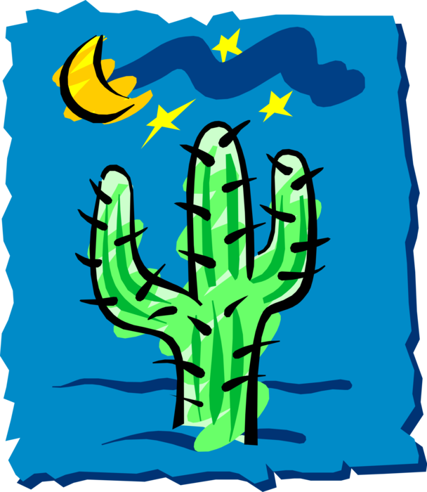 Vector Illustration of Desert Vegetation Succulent Cactus in Moonlight at Night Vector Illustration of Desert Vegetation Succulent Cactus in Moonlight at Night