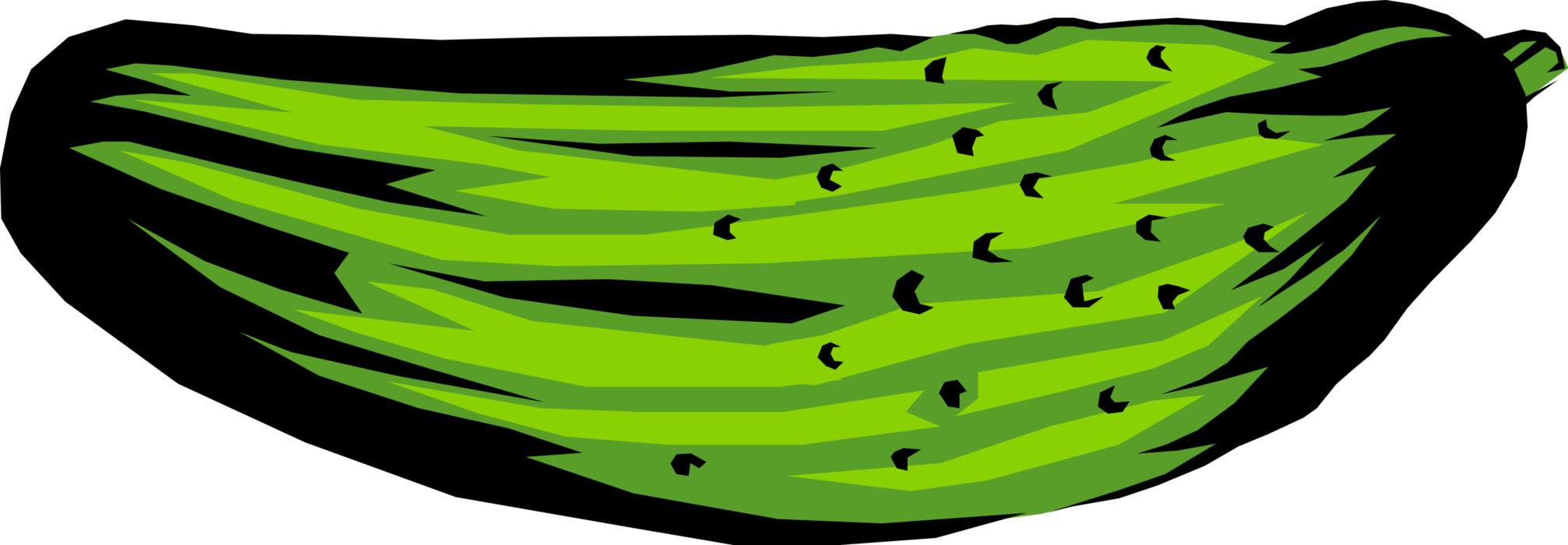Vector Illustration of Culinary Edible Vegetable Cucumber Dill Pickle