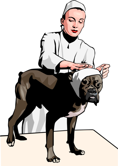 Vector Illustration of Veterinary Physician Bandaging Patient Dog's Head Injury