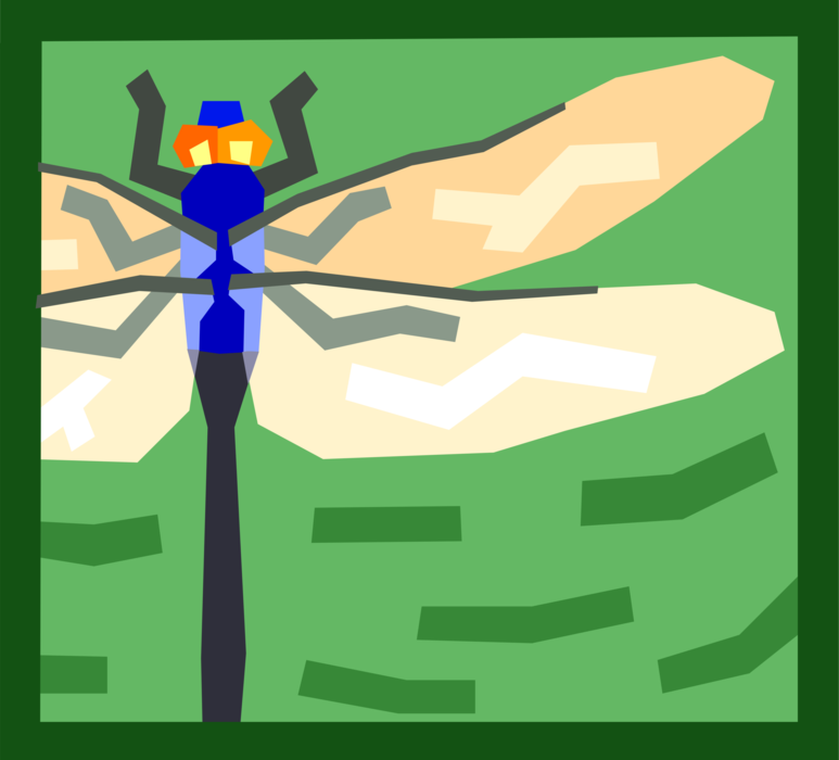 Vector Illustration of Dragonfly Insect Bug