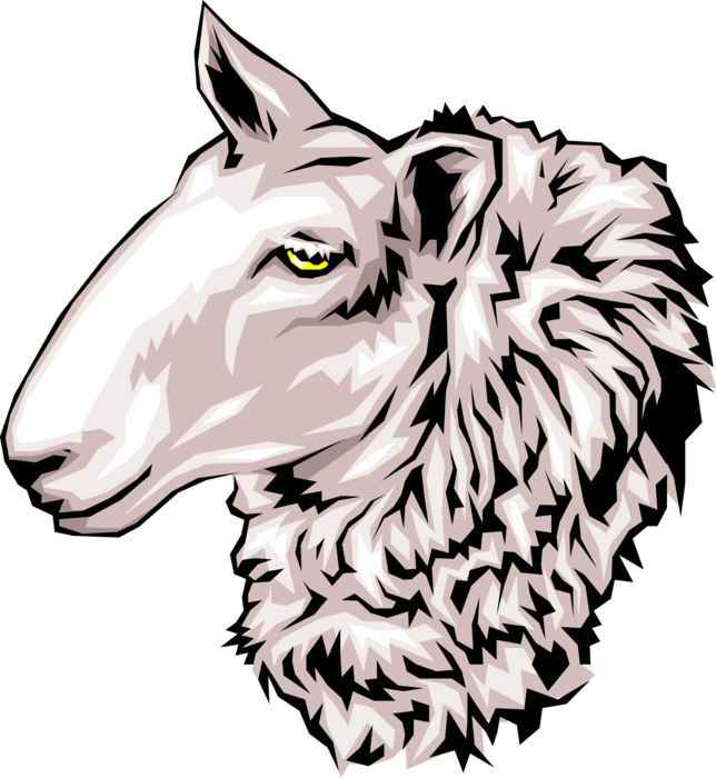 Vector Illustration of Farm Agriculture Livestock Sheep Head with Woolly Neck