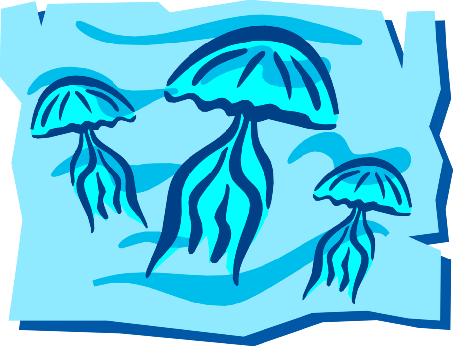 Vector Illustration of Three Marine Jellyfish