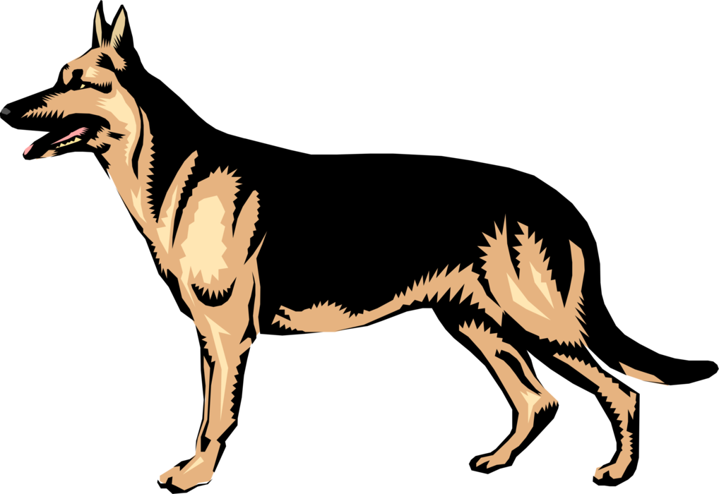 Vector Illustration of German Shepherd Dog Standing