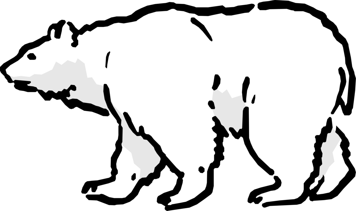 Vector Illustration of Arctic Polar Bear Arctic Polar Bear Threatened with Habitat Loss Caused by Climate Change Walking