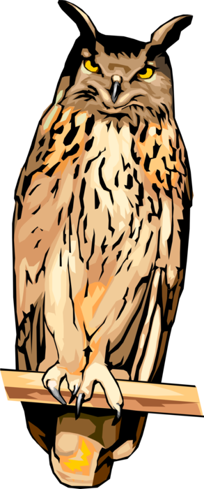 Vector Illustration of Feathered Vertebrate Wise Old Owl Bird