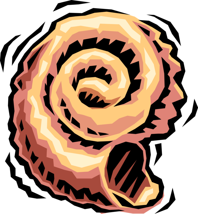 Vector Illustration of Snail or Terrestrial Gastropod Mollusk