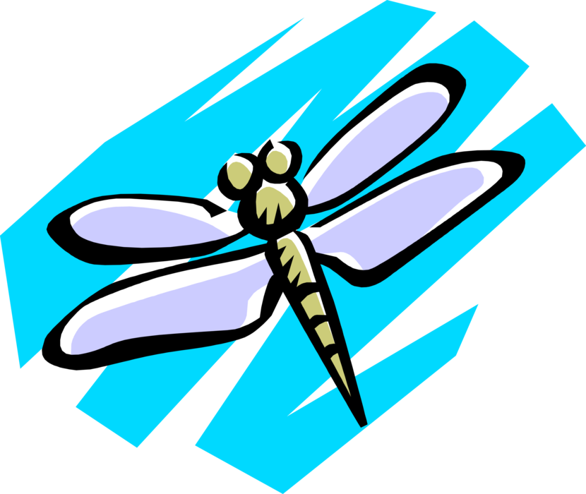 Vector Illustration of Dragonfly Insect in Flight