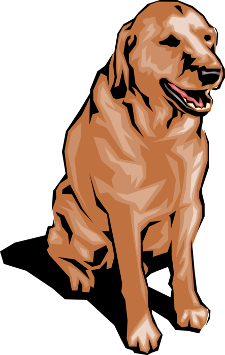 Vector Illustration of Golden Lab Retriever Dog Sitting