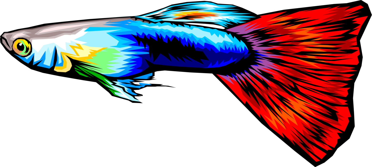 Vector Illustration of Colorful Tropical Aquarium Guppy Fish 