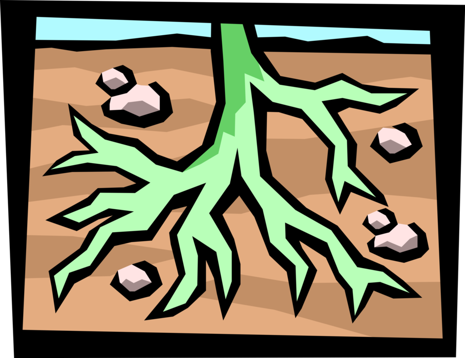 Vector Illustration of Tree Roots in Soil