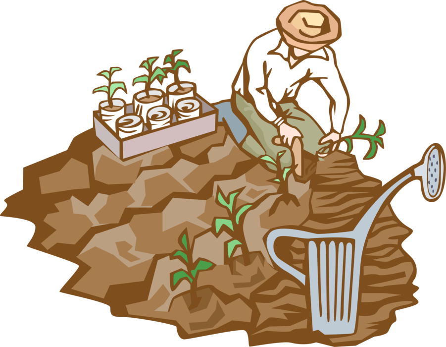 Vector Illustration of Farmer Planting and Watering Crop of Plants