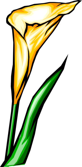 Vector Illustration of Yellow Flower