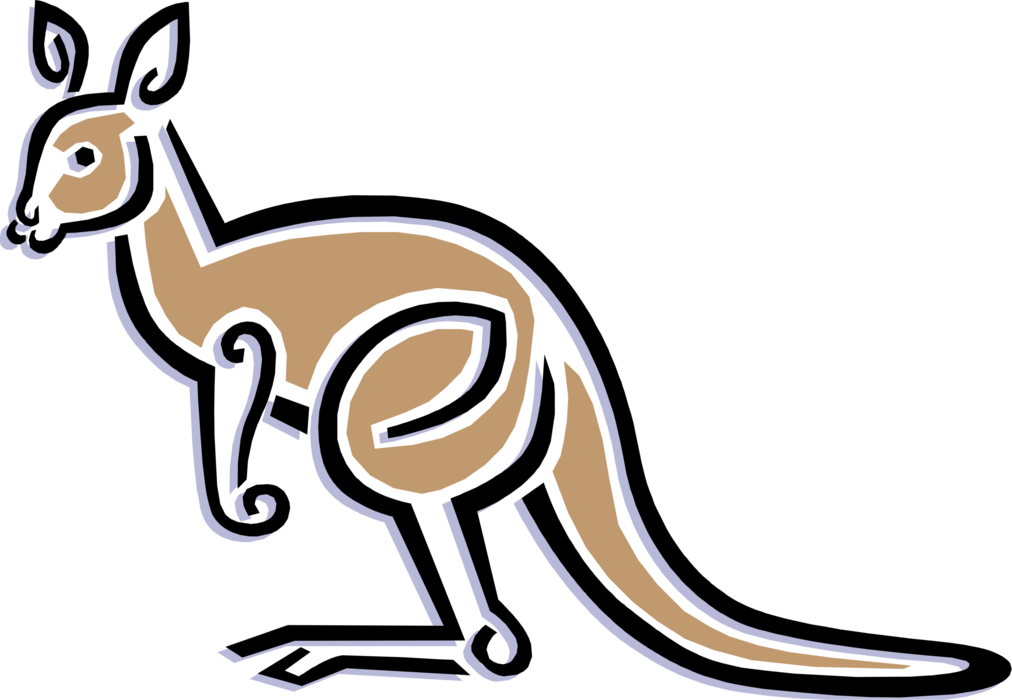 Vector Illustration of Australian Marsupial Kangaroo, Wallaroo, or Wallaby