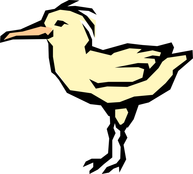 Vector Illustration of Feathered Vertebrate Yellow Bird