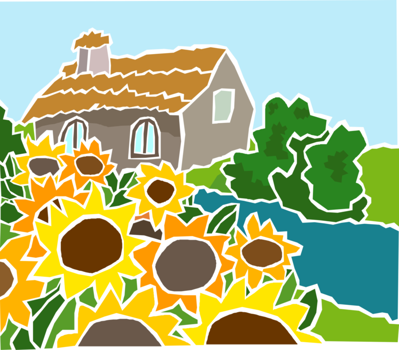 Vector Illustration of Sunflowers with Country Cottage