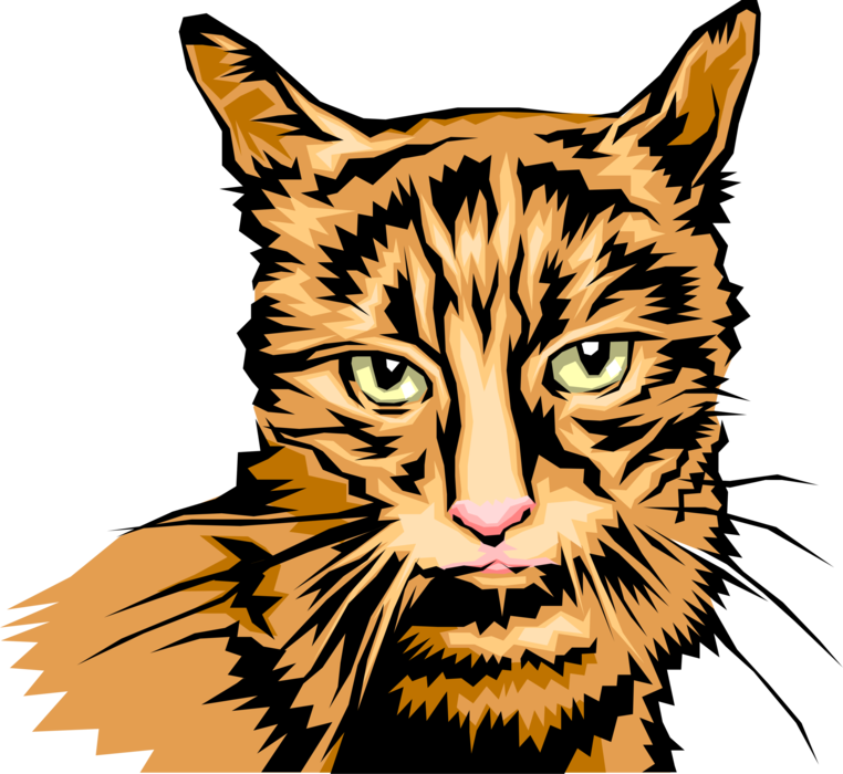 Vector Illustration of Cool Looking Small Domesticated Carnivore Cat