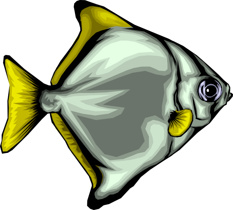 Vector Illustration of Colorful Exotic Aquarium Tropical Fish