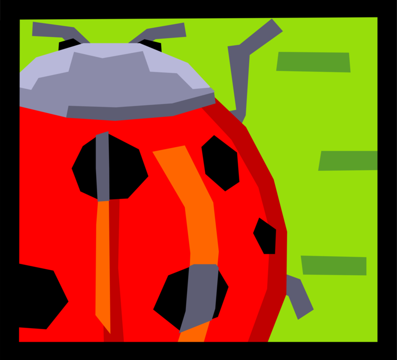 Vector Illustration of Small Coccinellidae Beetle Red Ladybug Insect