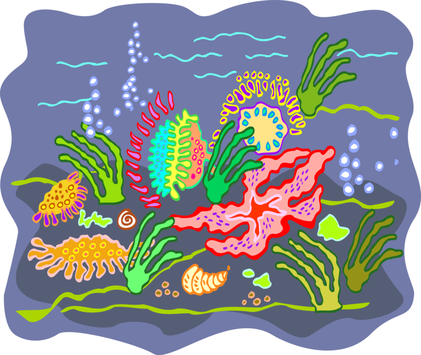 Vector Illustration of Colorful Underwater Marine Life with Coral and Seashells