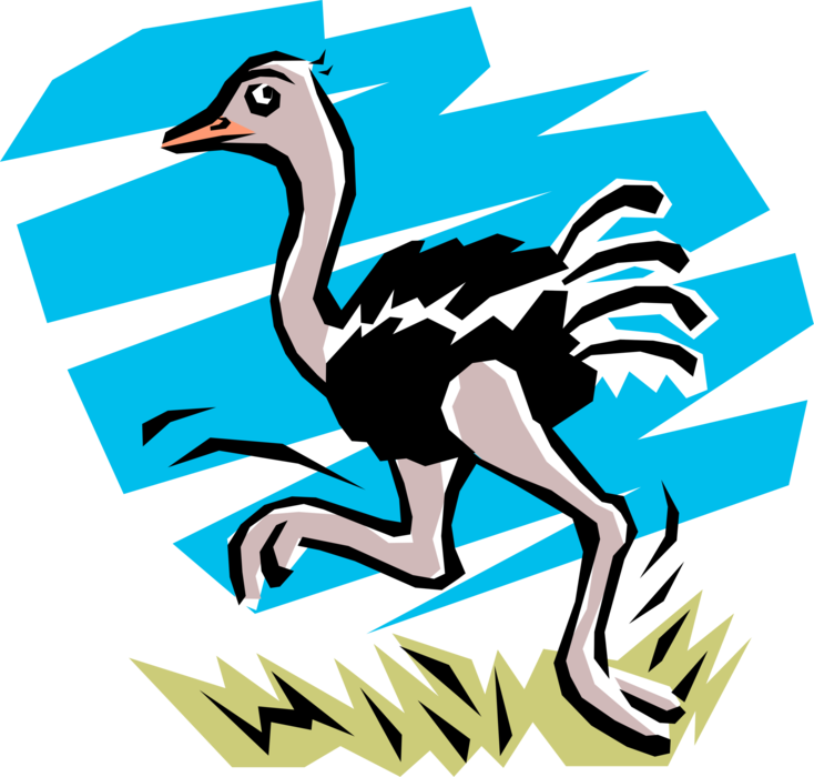Vector Illustration of African Ostrich Running