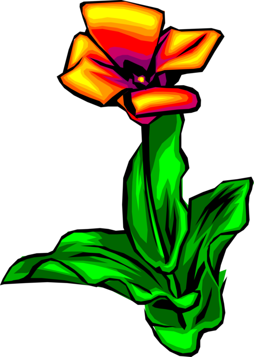 Vector Illustration of Spring Tulip Flower Bulbous Plant in Full Bloom