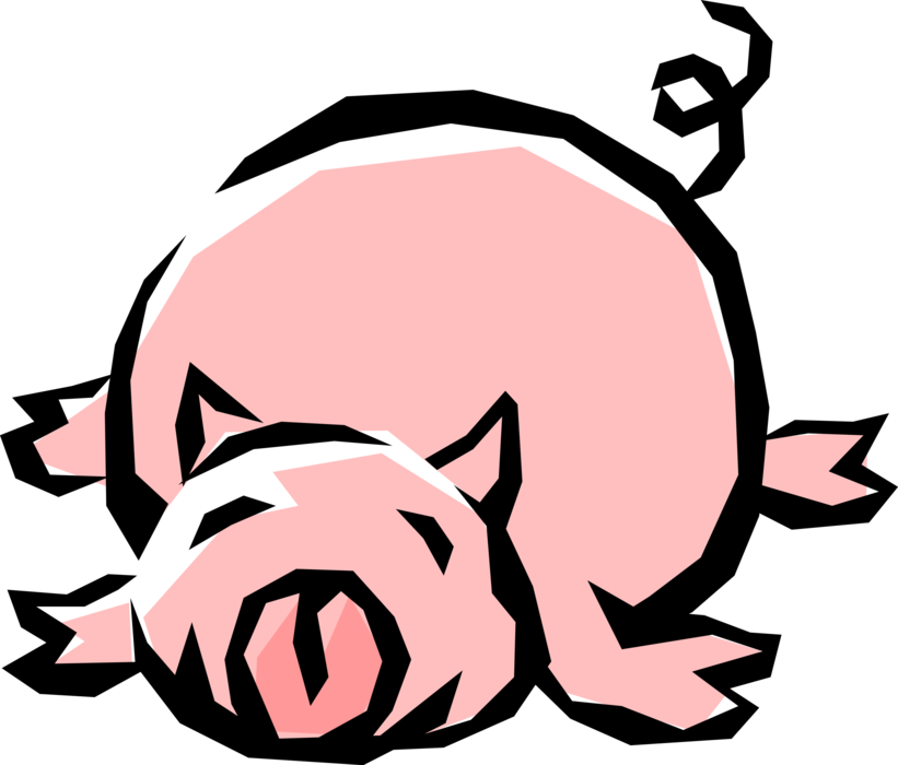 Vector Illustration of Domestic Farm Livestock Animal Pig