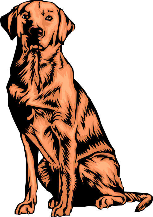 Vector Illustration of Family Pet Labrador Retriever Dog Sitting