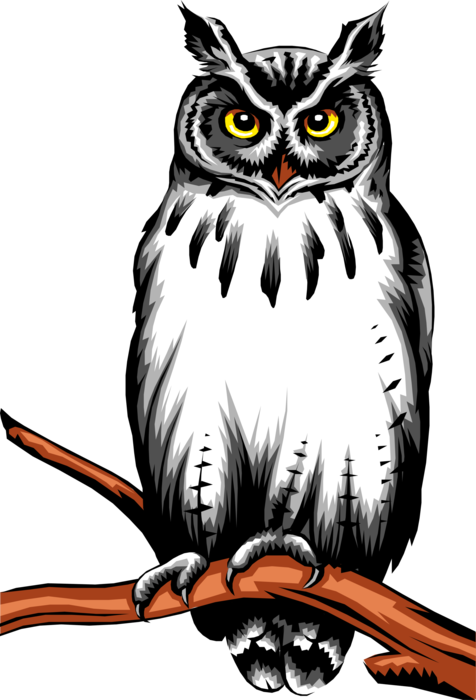 Vector Illustration of Inquisitive Owl Bird Perched on Tree Branch