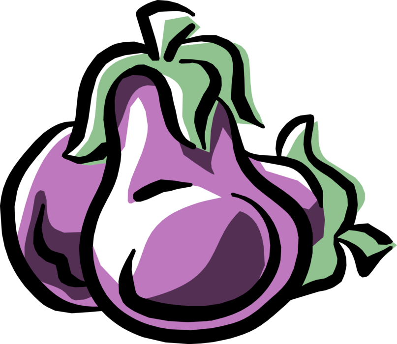 Vector Illustration of Eggplant Aubergine Nightshade Edible Vegetable