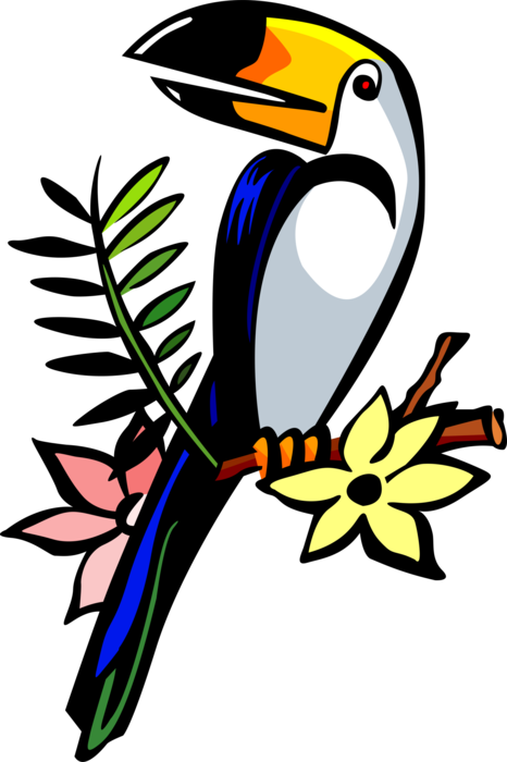 Vector Illustration of Colorful Large-Bill Toucan Bird