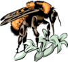 3cmjk4z3vd anim0383