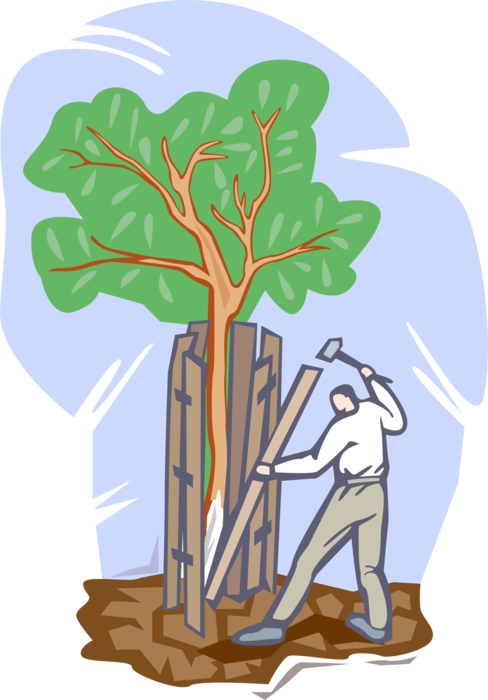 Vector Illustration of Protecting Damaged Tree with Wooden Fence