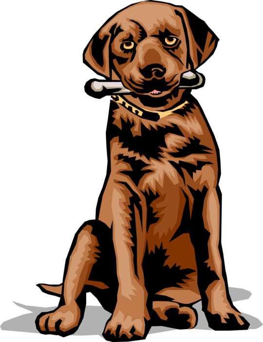 Vector Illustration of Family Pet Dog with Bone in Its Mouth