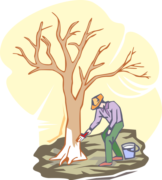 Vector Illustration of Forestry Arborist Paints Young Tree to Prevent Cracking and Splitting of Bark