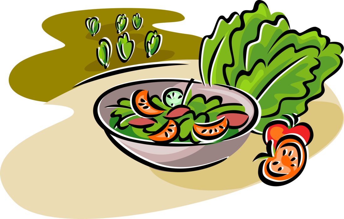 Vector Illustration of Fresh Green Salad with Romaine Lettuce and Tomatoes