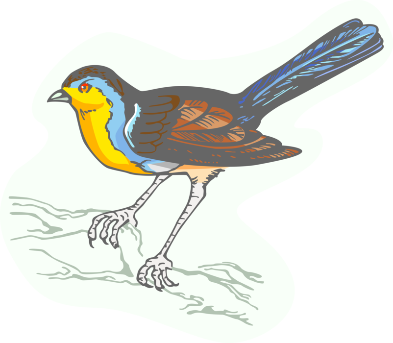 Vector Illustration of Feathered Bird with Red Wings