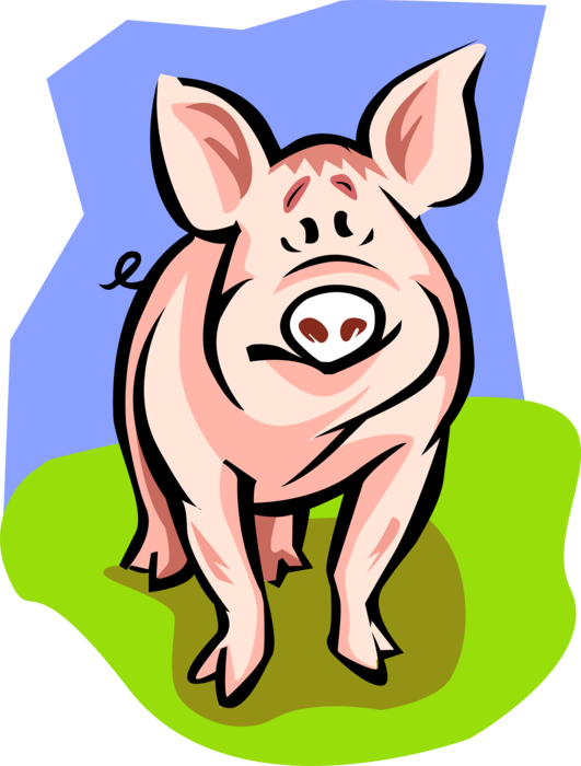 Vector Illustration of Farm Agriculture Livestock Animal Pig Hog Swine Porker (Aspires to be Bacon)