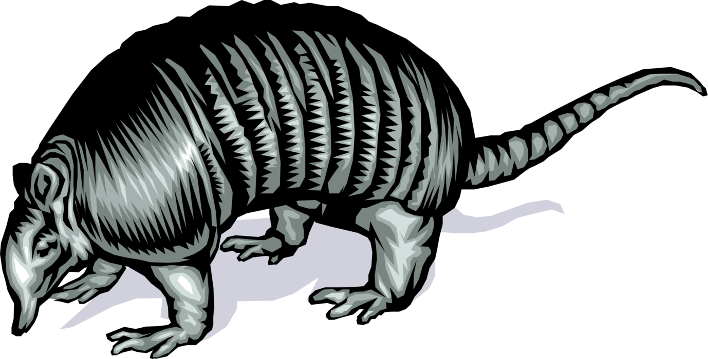 Vector Illustration of Fully Armored Armadillo with Leathery Armour Shell