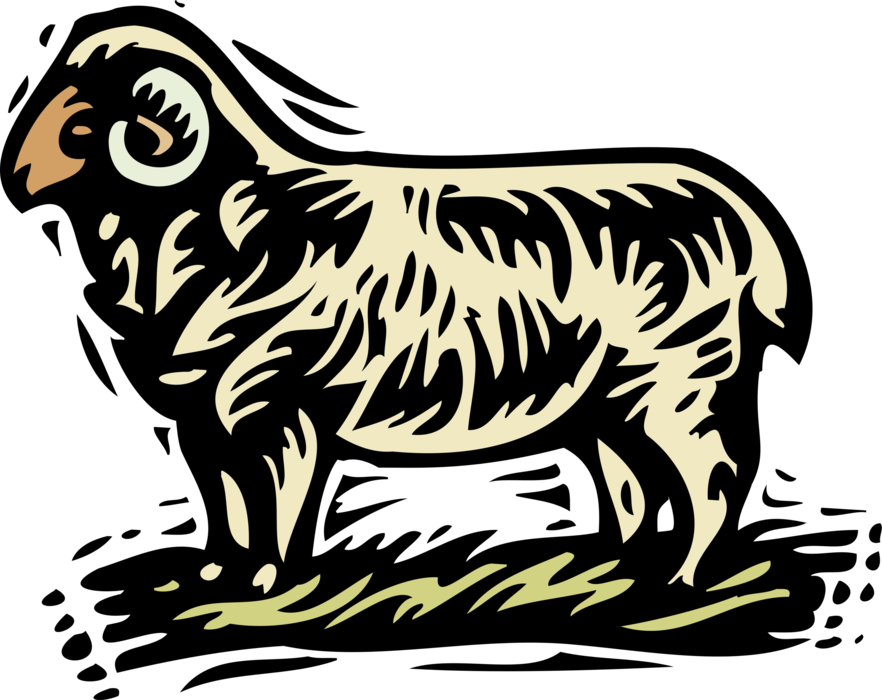 Vector Illustration of Farm Agriculture Livestock Animal Sheep