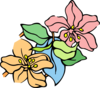 6tmhrajacj natu0829