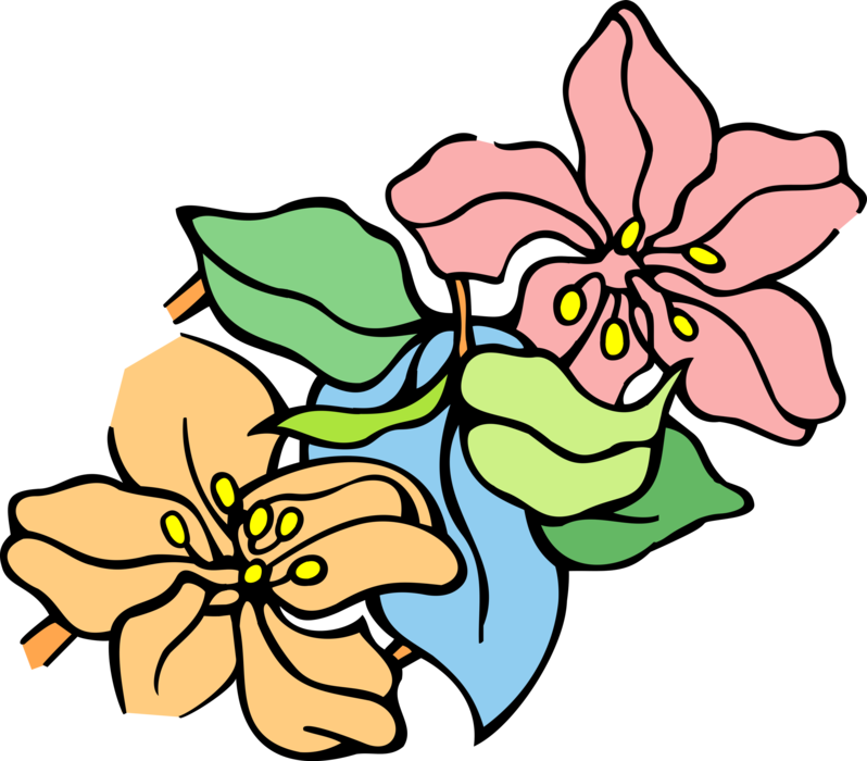 Vector Illustration of Pink and Yellow Garden Flowers