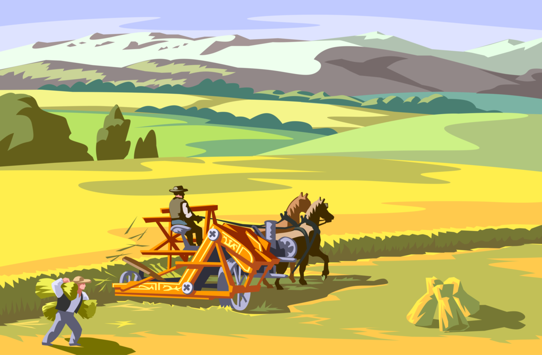 Vector Illustration of Horse-Drawn Farm Combine Thresher First Automated Farm Implement